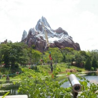 Foto de Orlando