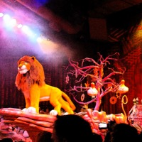 Foto de Orlando