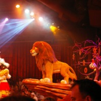 Foto de Orlando