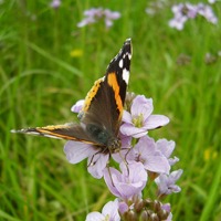 Foto de Abegondo