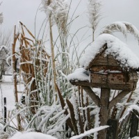 Foto de Laboulaye