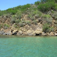 Foto de Puerto La Cruz