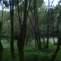 Foto de Cerceda