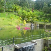 Foto de Alajuela