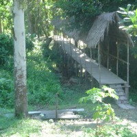 Foto de Amazonas