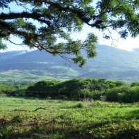 Foto de 16 de Septiembre (San Fernando, Chiapas)