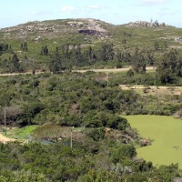 Foto de Cerro Pan de Azúcar