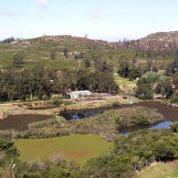 Foto de Cerro Pan de Azúcar