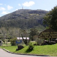 Foto de Cerro Pan de Azúcar