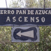 Foto de Cerro Pan de Azúcar