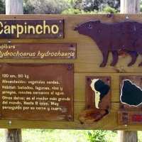 Foto de Cerro Pan de Azúcar