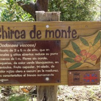 Foto de Cerro Pan de Azúcar