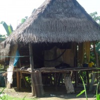Foto de Amazonas