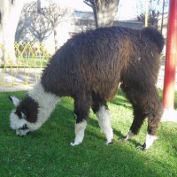 Foto de Oruro