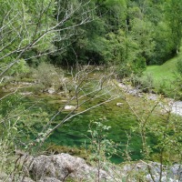 Foto de Tornin - Cangas de Onís