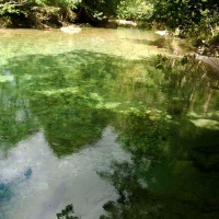 Foto de Tornin - Cangas de Onís