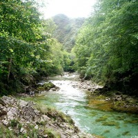 Foto de Tornin - Cangas de Onís