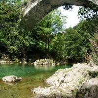 Foto de Tornin - Cangas de Onís