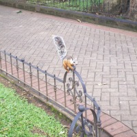 Foto de Alajuela