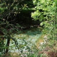 Foto de Tornin - Cangas de Onís