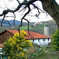 Foto de Aia