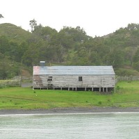 Foto de Puerto Natales