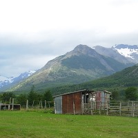 Foto de Puerto Natales