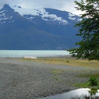 Foto de Puerto Natales
