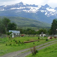 Foto de Puerto Natales