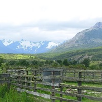Foto de Puerto Natales