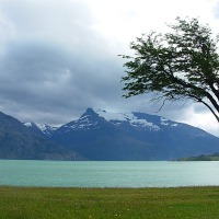 Foto de Puerto Natales