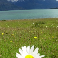 Foto de Puerto Natales