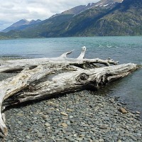 Foto de Puerto Natales