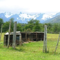 Foto de Puerto Natales