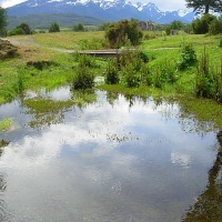 Foto de Puerto Natales