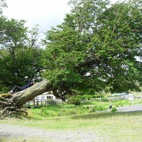 Foto de Puerto Natales