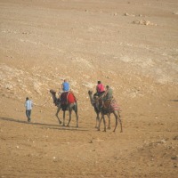 Foto de Giza