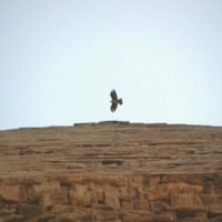 Foto de Giza