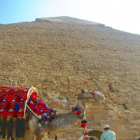 Foto de Giza