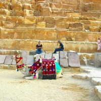 Foto de Giza