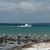 Foto de Isla de Coche. Nueva Esparta