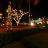 Foto de Margarita
