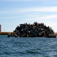 Foto de Isla de Cubagua. Nueva Esparta.