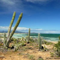 Foto de Isla de Cubagua. Nueva Esparta.