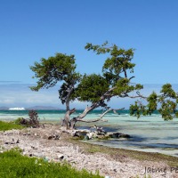 Foto de Isla de Cubagua. Nueva Esparta.