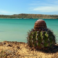 Foto de Isla de Cubagua. Nueva Esparta.
