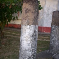 Foto de Liberia, Guanacaste