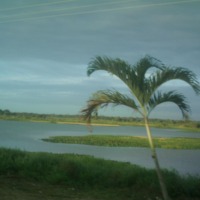 Foto de Guarico