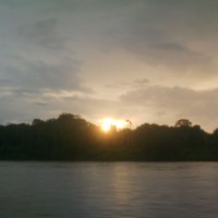 Foto de Amazonas