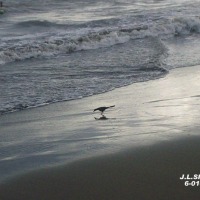 Foto de Puntarenas